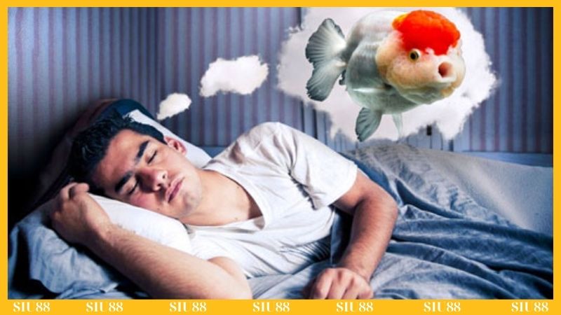 Đánh số gì khi nằm mơ thấy cá