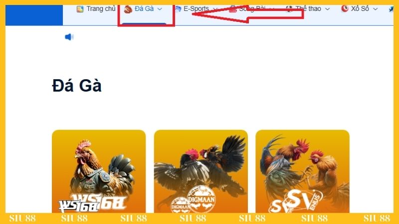Theo dõi trận đấu đá gà để đưa ra dự đoán chính xác Theo dõi trận đấu đá gà để đưa ra dự đoán chính xác